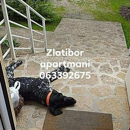 Vukomanovic Zlatibor