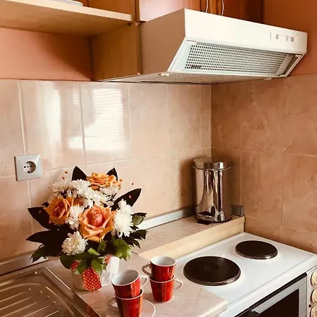 Apartment Vukomanovic