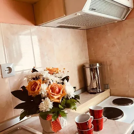 Apartmán Vukomanovic *