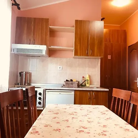 Vukomanovic Apartment