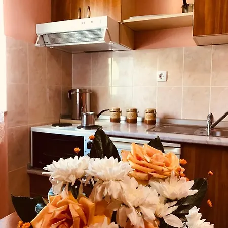 Vukomanovic Apartment