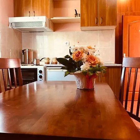 Vukomanovic 兹拉蒂博尔