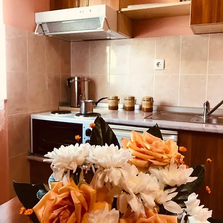 Apartment Vukomanovic Zlatibor