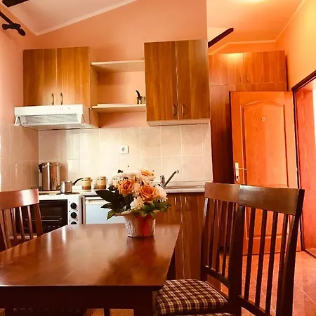 Apartment Vukomanovic Zlatibor