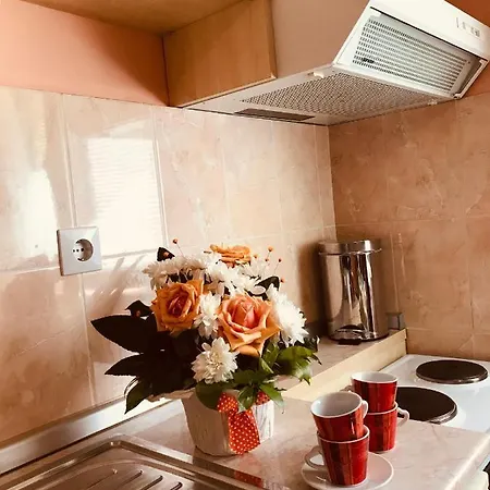 Vukomanovic Apartment