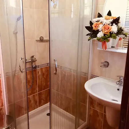 Vukomanovic Apartment