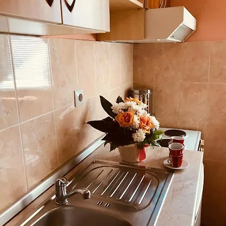 Vukomanovic * 兹拉蒂博尔