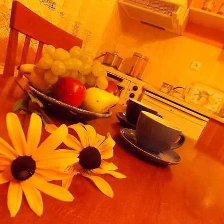 Vukomanovic 公寓 *