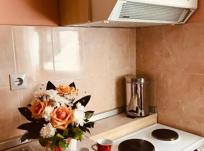 Lägenhet Vukomanovic