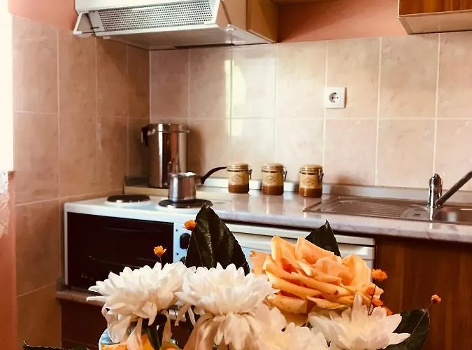 Vukomanovic Lägenhet