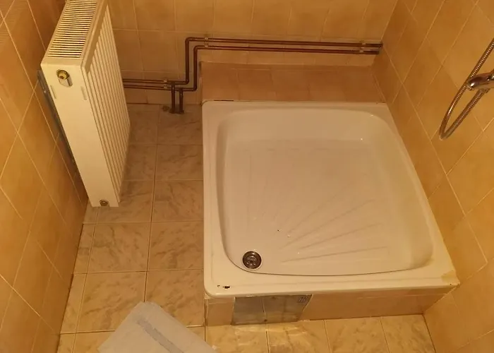 Vukomanovic Zlatibor