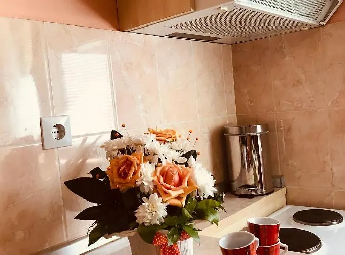 Vukomanovic Lägenhet